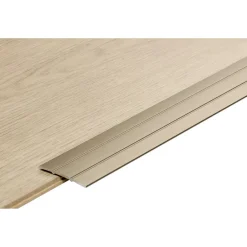 Kwantum Dilatatieprofiel Staal Rvs 100 Cm