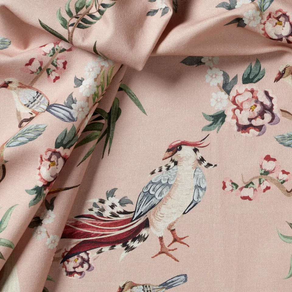 Kwantum Gordijn Janneke Roze