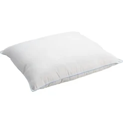 Kwantum Hoofdkussen Ultrasonic 2 Stuks