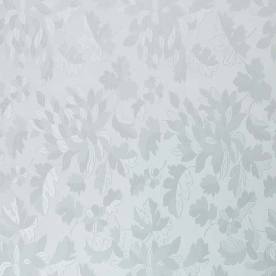 Kwantum Plakfolie Blad Transparant XL